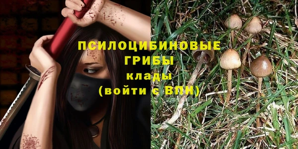 меф Заволжск