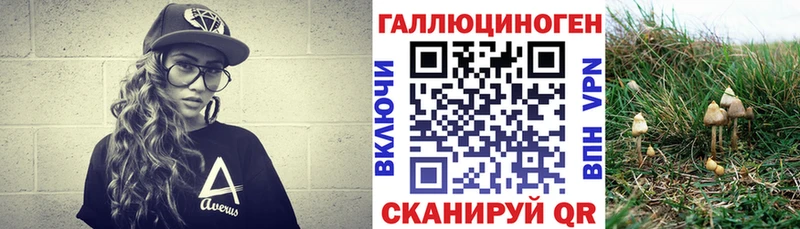 Галлюциногенные грибы мицелий  Купить  Кузнецк 