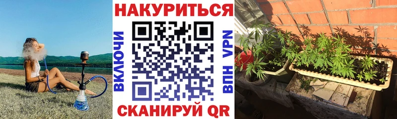 Купить  Кузнецк  Шишки марихуана AK-47 